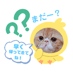 [LINEスタンプ] だいずスタンプ★