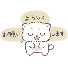 [LINEスタンプ] あんちょのスタンプ～ていねい～