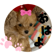[LINEスタンプ] ♥Michelle♥