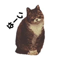 [LINEスタンプ] ぼてのぼうちゃん