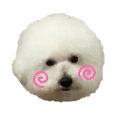 [LINEスタンプ] わんころ スタンプ