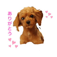 [LINEスタンプ] Rokos