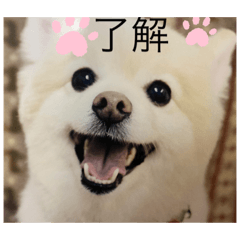 [LINEスタンプ] ぴろちゃろ☆こうちゃろ日常1