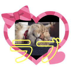 [LINEスタンプ] はっちゃんてんちゃん2