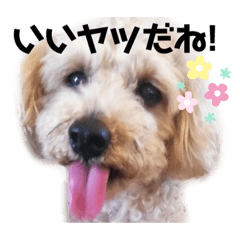 [LINEスタンプ] マーティーの生活