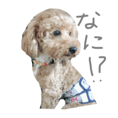 [LINEスタンプ] 癒しのモコ太さん