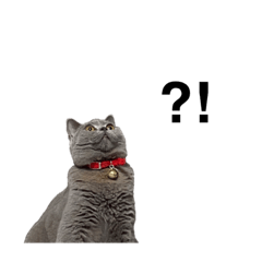 [LINEスタンプ] むちっとしてる