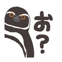 [LINEスタンプ] 菊ちゃんのマゼランペンギン