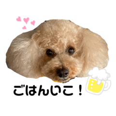 [LINEスタンプ] ショコラくん。