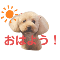 [LINEスタンプ] ジョーさん家のイッヌ