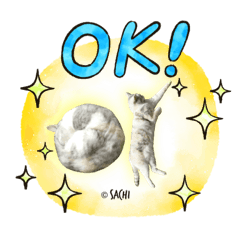 [LINEスタンプ] さち日和