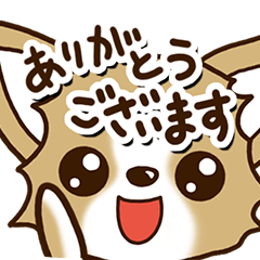 [LINEスタンプ] どアップなチワワ！