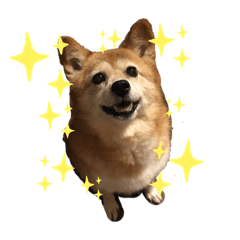 [LINEスタンプ] 日常ナナちゃん2