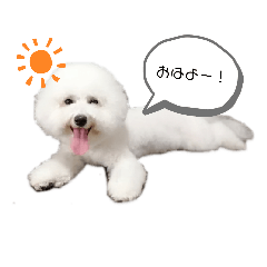 [LINEスタンプ] ちわぷー＆ビション兄弟