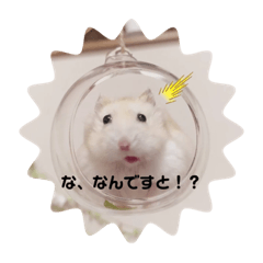 [LINEスタンプ] 麦丸の日常