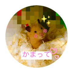 [LINEスタンプ] kantyan♡