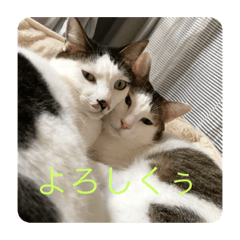 [LINEスタンプ] omtimiruku