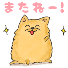 [LINEスタンプ] ポメラニアン まめ助