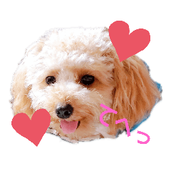 [LINEスタンプ] まろろんたんの日常