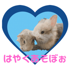 [LINEスタンプ] Stellar＆Latteステラとラテ