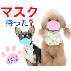 [LINEスタンプ] マティラとノアールの日常あれこれスタンプ