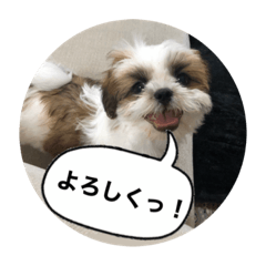 [LINEスタンプ] ふくっ！！