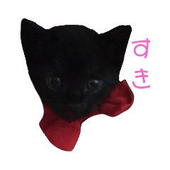 [LINEスタンプ] zizi☻*