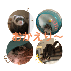 [LINEスタンプ] はるはるハウス