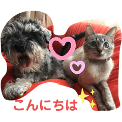 [LINEスタンプ] つっきースタンプ①