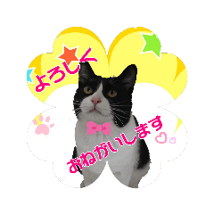 [LINEスタンプ] MONOさん