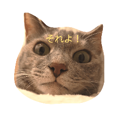 [LINEスタンプ] 返事してもええんやで