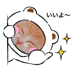 [LINEスタンプ] 仔猫のちゃーちゃん