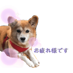 [LINEスタンプ] 日常ナナちゃん1