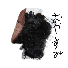 [LINEスタンプ] うちの犬！！！