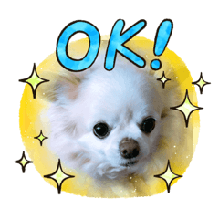 [LINEスタンプ] ラムちゃんとコーギーのスタンプ
