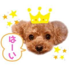 [LINEスタンプ] だいすきふぁみりぃすたんぷ
