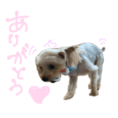 [LINEスタンプ] ケン・チビ