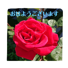 [LINEスタンプ] 雪ダルマ花