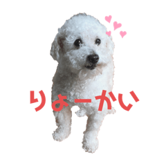 [LINEスタンプ] ぼく、ゴロー