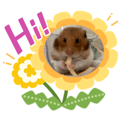 [LINEスタンプ] 小麦スタンプ(*´ㅈ`*)