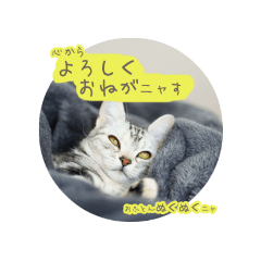 [LINEスタンプ] 猫の鈴のスタンプ