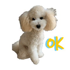 [LINEスタンプ] るんちゃんとシフォンのスタンププププ！