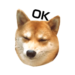 [LINEスタンプ] 豆柴まるのスタンプ