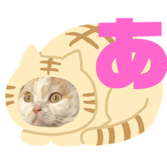 [LINEスタンプ] 「あ〜ね」まで作ってみた。