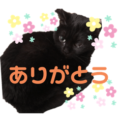 [LINEスタンプ] るいずちゃん