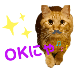 [LINEスタンプ] 猫イチロウ