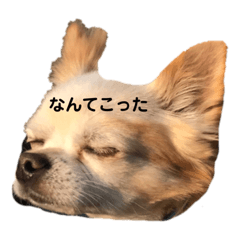 [LINEスタンプ] みいたん19