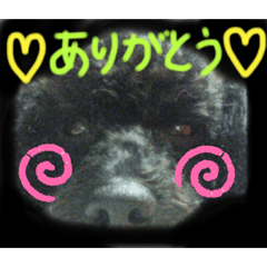 [LINEスタンプ] けんしろう、けんけん