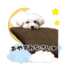 [LINEスタンプ] ゆきのスタンプだよ