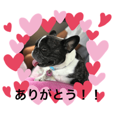 [LINEスタンプ] 花子もも